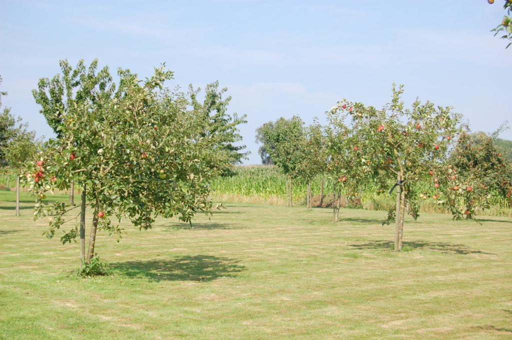 B&B De Peperbus Lokeren Exteriör bild